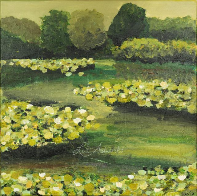 water lilies 2019