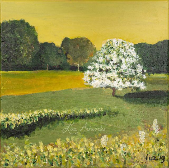 dune landscape – hawthorn