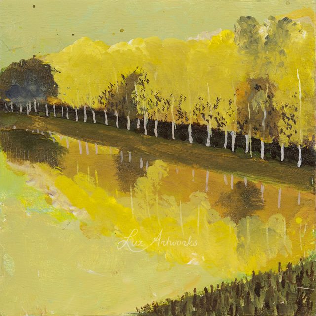 Trees in the Light – 4 Paintings