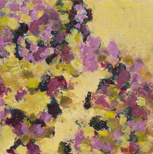 blossoms 1