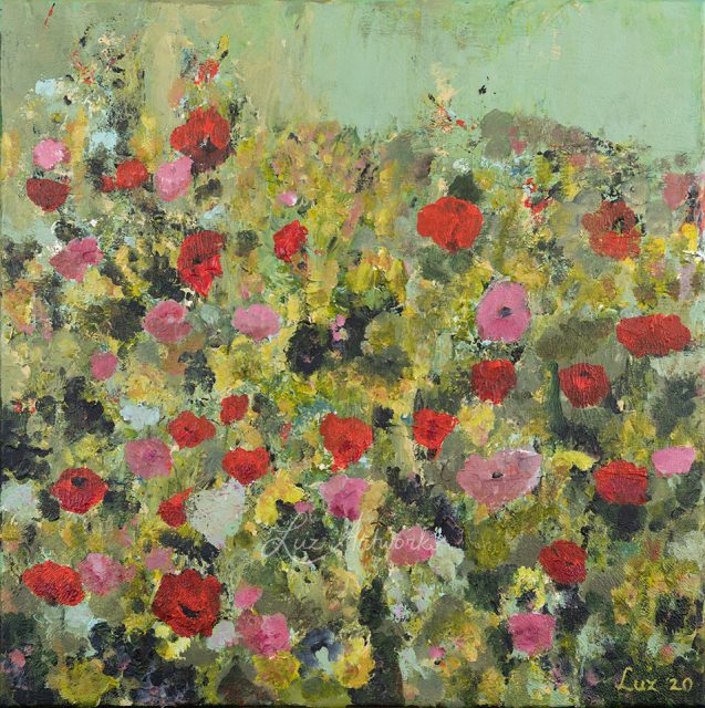 wild flower field