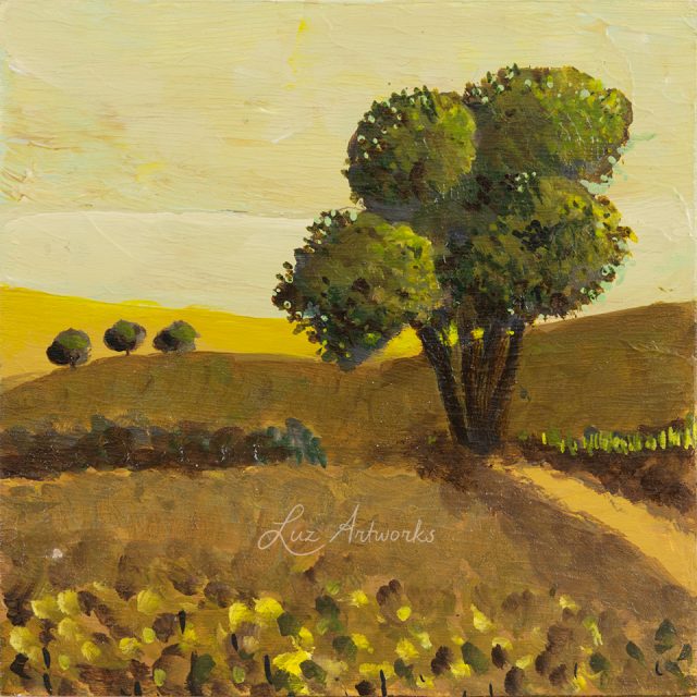 trees in the light – solitary tree